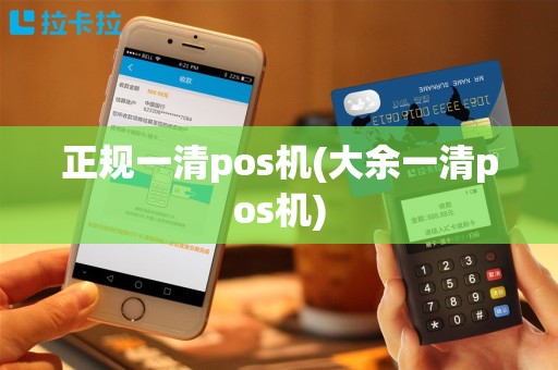 正规一清pos机(大余一清pos机)