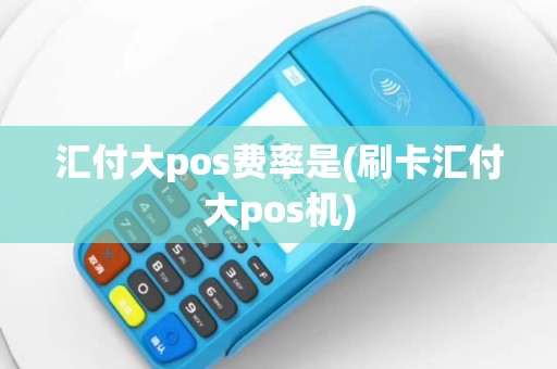 汇付大pos费率是(刷卡汇付大pos机)