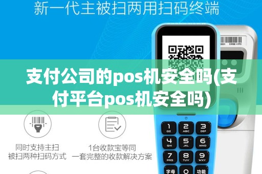 支付公司的pos机安全吗(支付平台pos机安全吗)