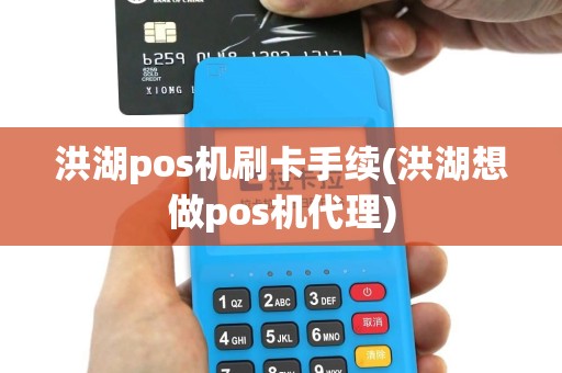 洪湖pos机刷卡手续(洪湖想做pos机代理)