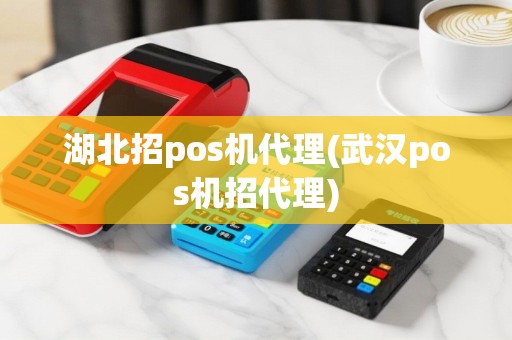 湖北招pos机代理(武汉pos机招代理)