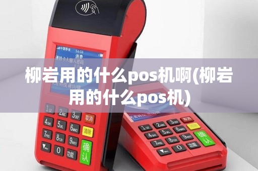 柳岩用的什么pos机啊(柳岩用的什么pos机)