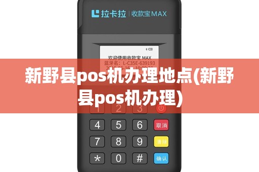 新野县pos机办理地点(新野县pos机办理)