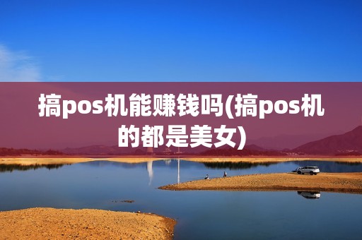 搞pos机能赚钱吗(搞pos机的都是美女)