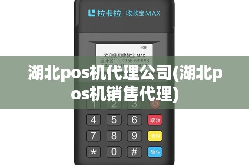 湖北pos机代理公司(湖北pos机销售代理)