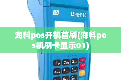 海科pos开机首刷(海科pos机刷卡显示01)