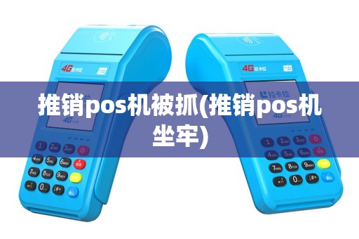 推销pos机被抓(推销pos机坐牢)