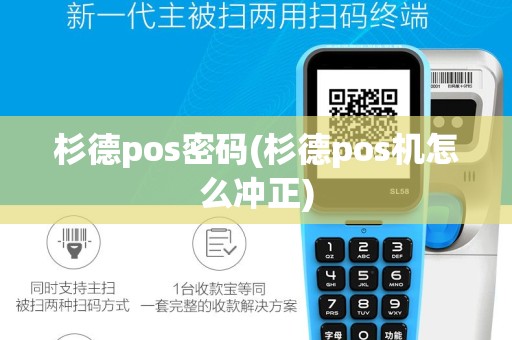 杉德pos密码(杉德pos机怎么冲正)