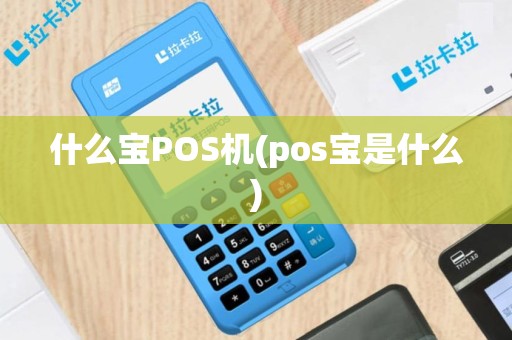 什么宝POS机(pos宝是什么)