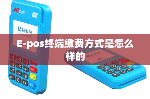E-pos终端缴费方式是怎么样的