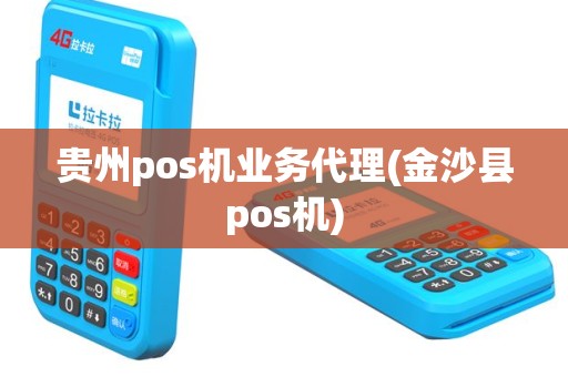贵州pos机业务代理(金沙县pos机)