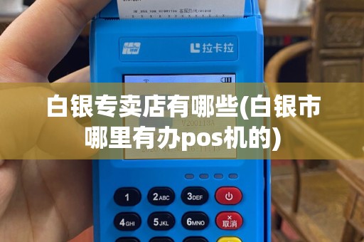 白银专卖店有哪些(白银市哪里有办pos机的)