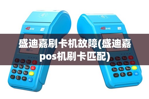 盛迪嘉刷卡机故障(盛迪嘉pos机刷卡匹配)
