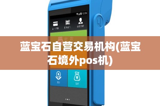 蓝宝石自营交易机构(蓝宝石境外pos机)