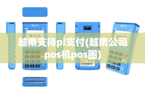 越南支持pi支付(越南公司pos机pos圈)