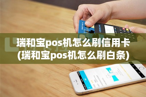 瑞和宝pos机怎么刷信用卡(瑞和宝pos机怎么刷白条)
