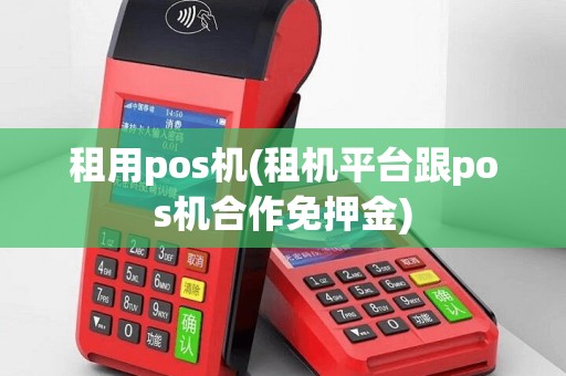 租用pos机(租机平台跟pos机合作免押金)
