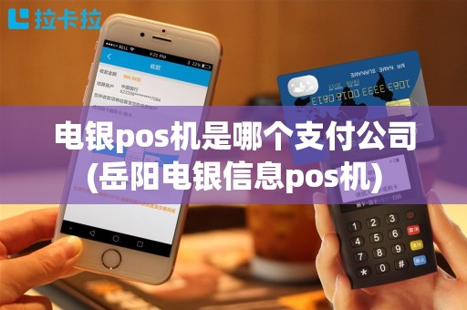 电银pos机是哪个支付公司(岳阳电银信息pos机)