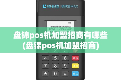 盘锦pos机加盟招商有哪些(盘锦pos机加盟招商)