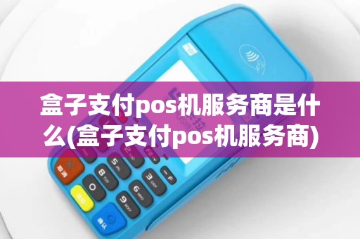 盒子支付pos机服务商是什么(盒子支付pos机服务商)
