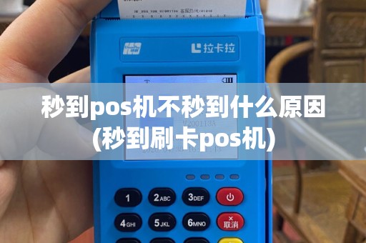 秒到pos机不秒到什么原因(秒到刷卡pos机)