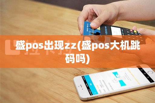 盛pos出现zz(盛pos大机跳码吗)