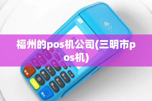 福州的pos机公司(三明市pos机)