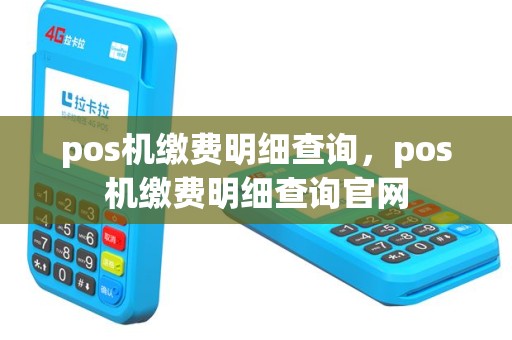 pos机缴费明细查询，pos机缴费明细查询官网