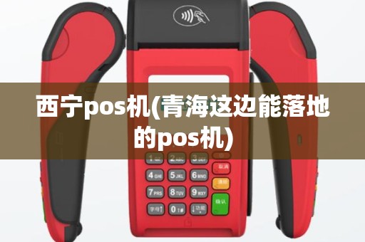 西宁pos机(青海这边能落地的pos机)