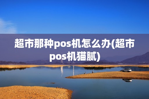超市那种pos机怎么办(超市pos机猫腻)