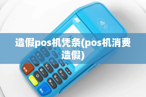 造假pos机凭条(pos机消费造假)