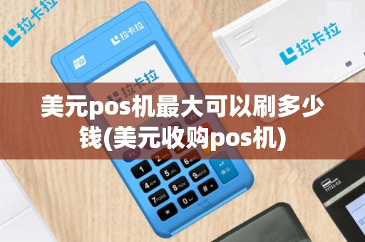 美元pos机最大可以刷多少钱(美元收购pos机)