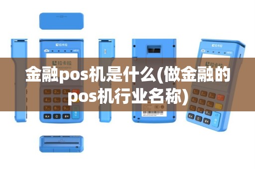 金融pos机是什么(做金融的pos机行业名称)