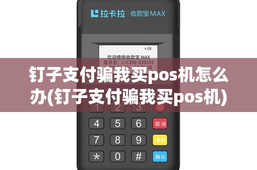 钉子支付骗我买pos机怎么办(钉子支付骗我买pos机)