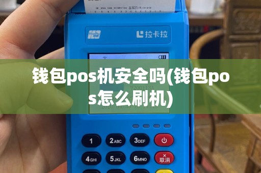 钱包pos机安全吗(钱包pos怎么刷机)