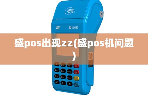 盛pos出现zz(盛pos机问题)