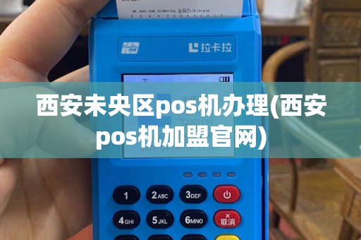西安未央区pos机办理(西安pos机加盟官网)