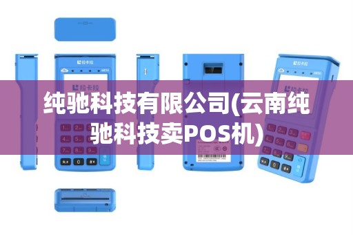纯驰科技有限公司(云南纯驰科技卖POS机)