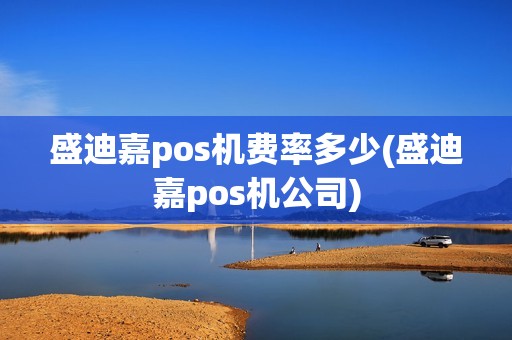 盛迪嘉pos机费率多少(盛迪嘉pos机公司)