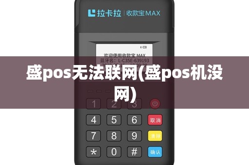 盛pos无法联网(盛pos机没网)