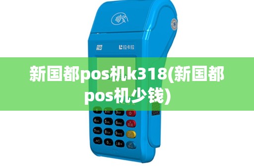 新国都pos机k318(新国都pos机少钱)