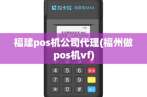 福建pos机公司代理(福州做pos机vf)