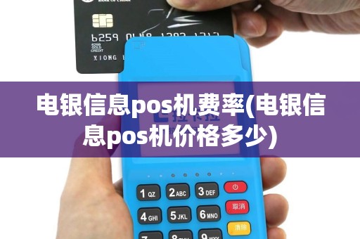 电银信息pos机费率(电银信息pos机价格多少)