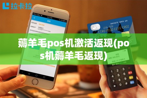 薅羊毛pos机激活返现(pos机薅羊毛返现)