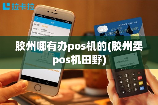 胶州哪有办pos机的(胶州卖pos机田野)