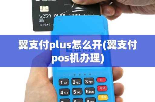 翼支付plus怎么开(翼支付pos机办理)