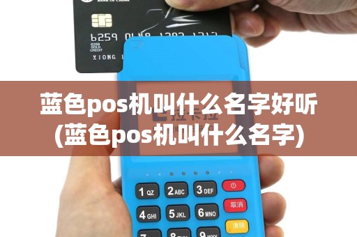 蓝色pos机叫什么名字好听(蓝色pos机叫什么名字)