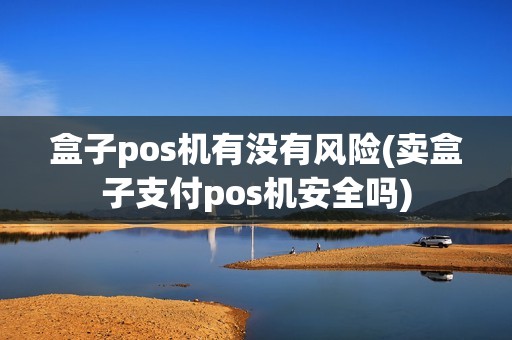 盒子pos机有没有风险(卖盒子支付pos机安全吗)