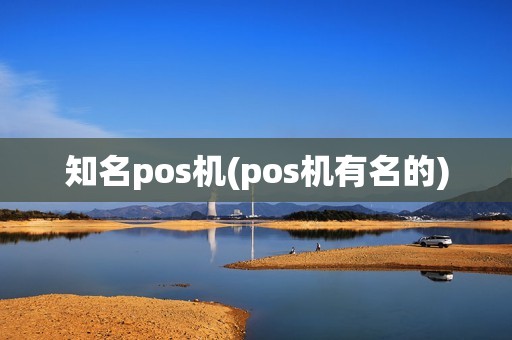 知名pos机(pos机有名的)