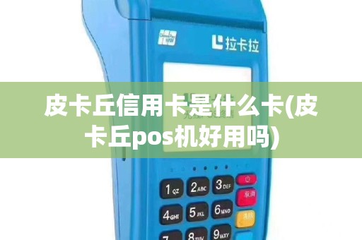 皮卡丘信用卡是什么卡(皮卡丘pos机好用吗)